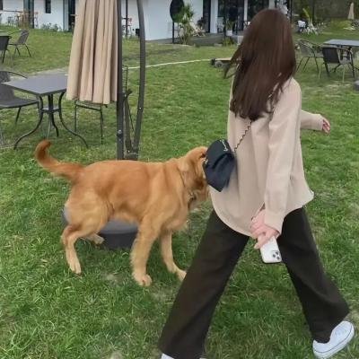 老练律师第二季